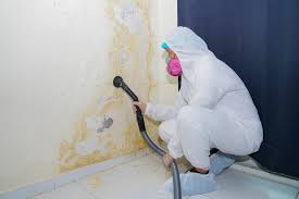 Best Crawl Space Mold Remediation  in Franklin, CA